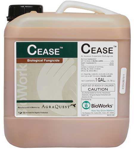 A close up of a large plastic jerry can of CEASE Biological Fungicide isolated on a white background.