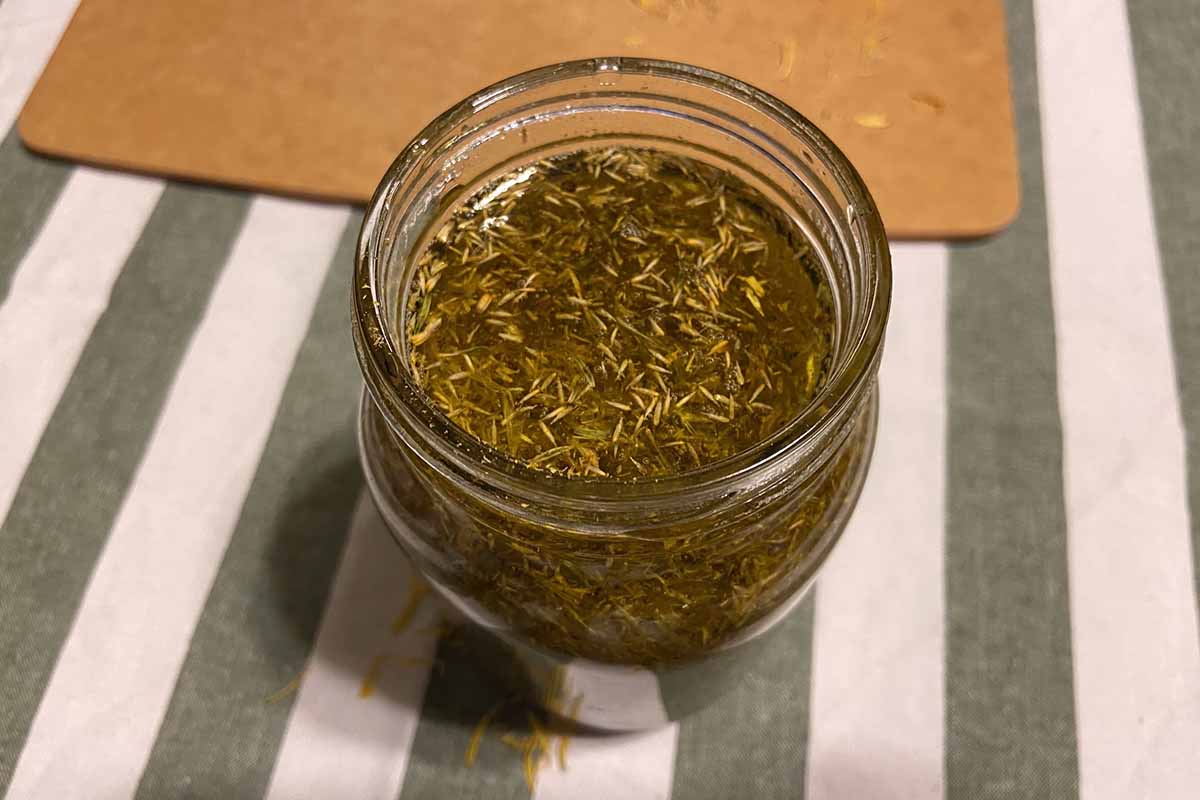 A close up horizontal image of a jar of calendula infused oil set on a striped fabric surface.