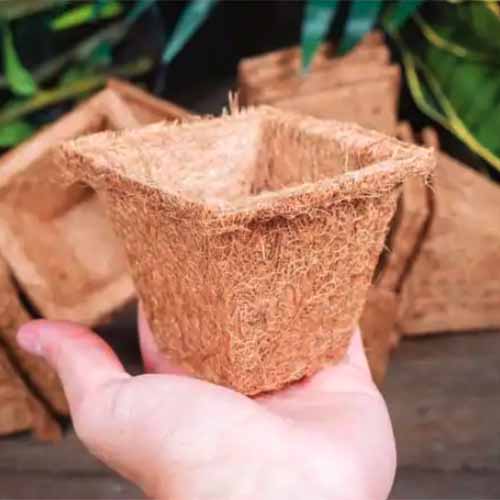 A close up square image of a hand holding a biodegradable pot for seed starting.