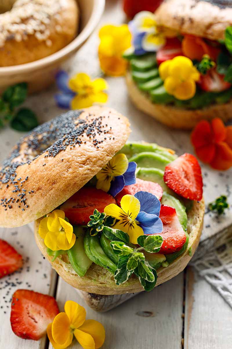 A close up vertical image of bagels with avocado and strawberries topped with pansy flowers set on a wooden surface.