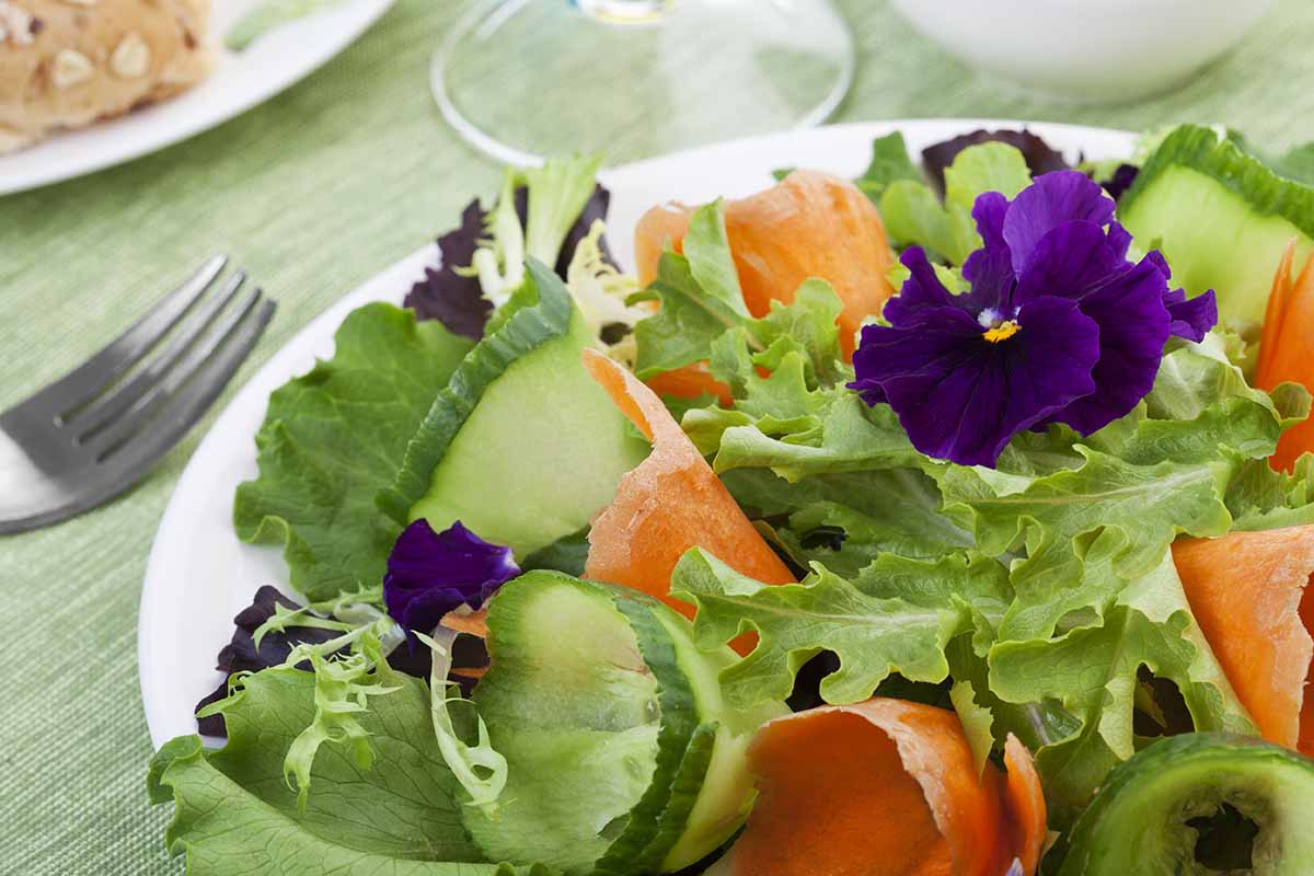 A close up horizontal image of a fresh salad on a white plate with a variety of greens topped with edible pansy flowrs.