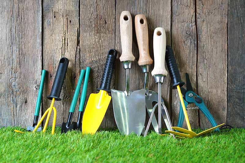 A close up horizontal image of a set of gardening tools lined up by a wooden fence.