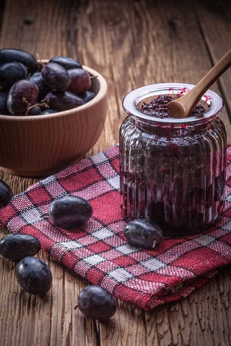 A vertical image of a jar of homemade jelly set on a red checked fabric with a bowl of dark grapes in a wooden bowl and scattered around.