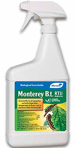 A close up vertical image of Monterey Bt Ready to Use Spray isolated on a white background.