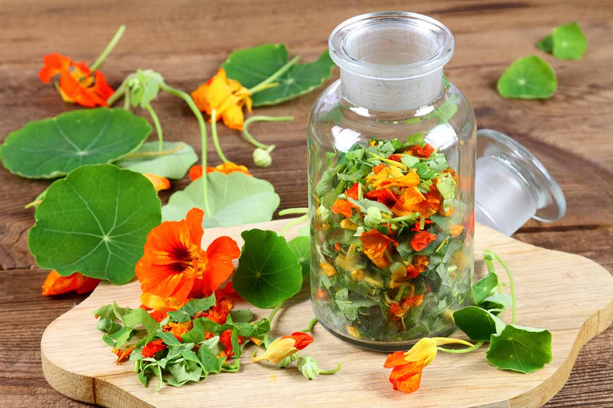 A horizontal image of a jar filled with chopped nasturtium flowers, foliage, and pods set on a wooden chopping board on a wooden table.