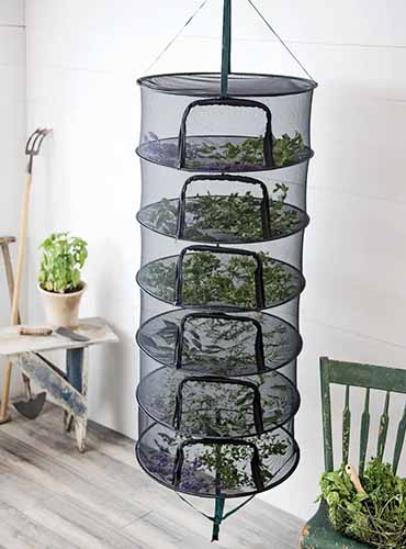 A close up vertical image of a hanging Stackit herb drying rack.