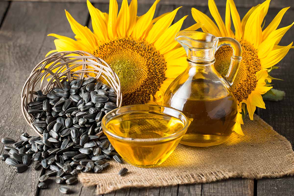 A close up horizontal image of a wicker basket with sunflower seeds spilling out of it and a glass bowl and jug of oil, with flowers in the background.