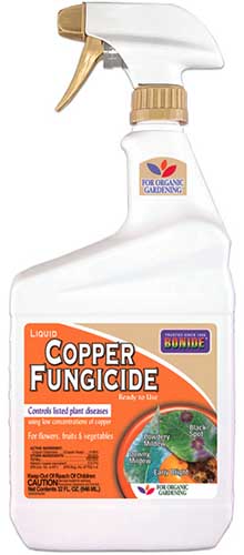 A close up vertical image of a spray bottom of Bonide Copper Fungicide isolated on a white background.