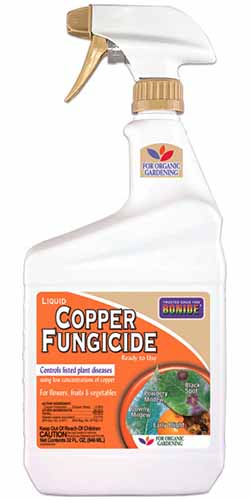 A bottle of Bonide Copper Fungicide isolated on a white background.