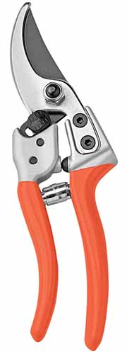 A close up of a pair of bypass pruners with an orange handle isolated on a white background.