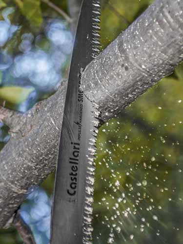 A close up vertical image of a Castellari Pruning Saw making short work of a branch.