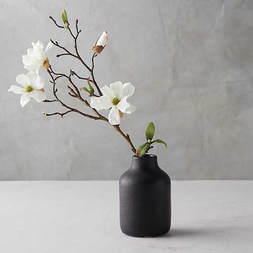 A close up square image of a flowering branch in a small matte charcoal vase pictured on a gray background.