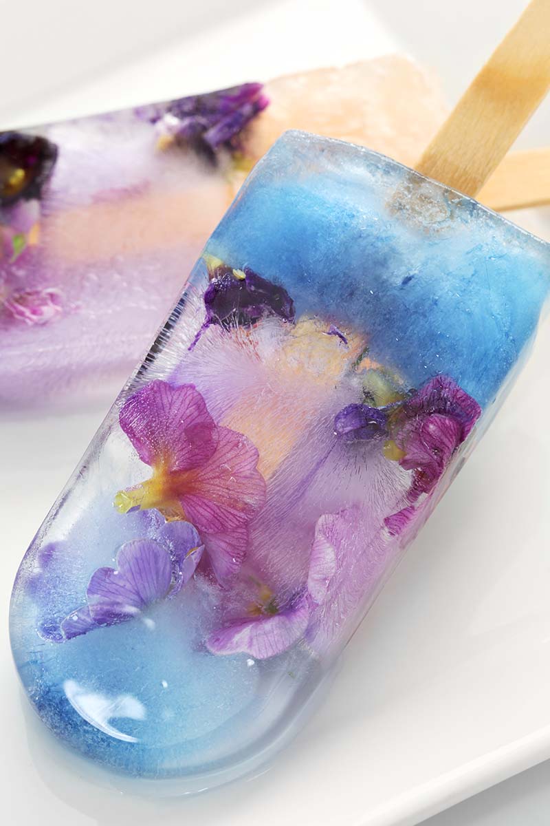 A vertical image of a decorative popsicle with edible blooms frozen into the ice.
