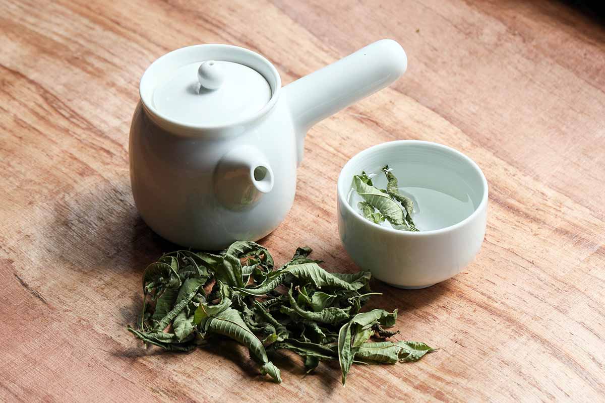 A close up horizontal image of dried herbs and a small teapot and cup set on a wooden surface.