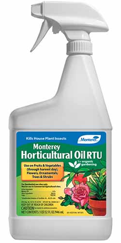 A close up of a bottle of Monterey Horticultural Oil isolated on a white background.