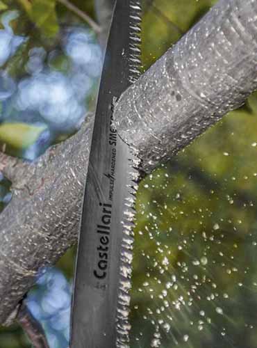 A close up of a pruning saw cutting through the branch of a tree.