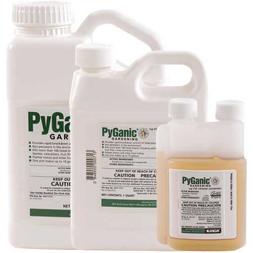 A close up of three bottles of PyGanic Gardening insecticide isolated on a white background.