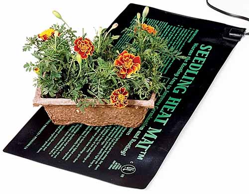 A close up of a Seedling Heat Mat with a tray of flowers on top of it isolated on a white background.
