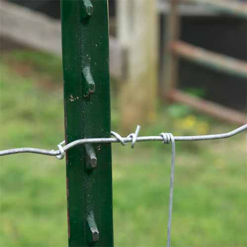 A close up of a metal T-post in the garden to support plants.