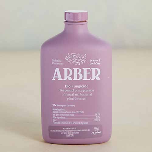 A close up square image of a bottle of Arber Biofungicide pictured on a light brown background.