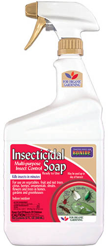 A bottle of Bonide Insecticidal Soap isolated on a white background.