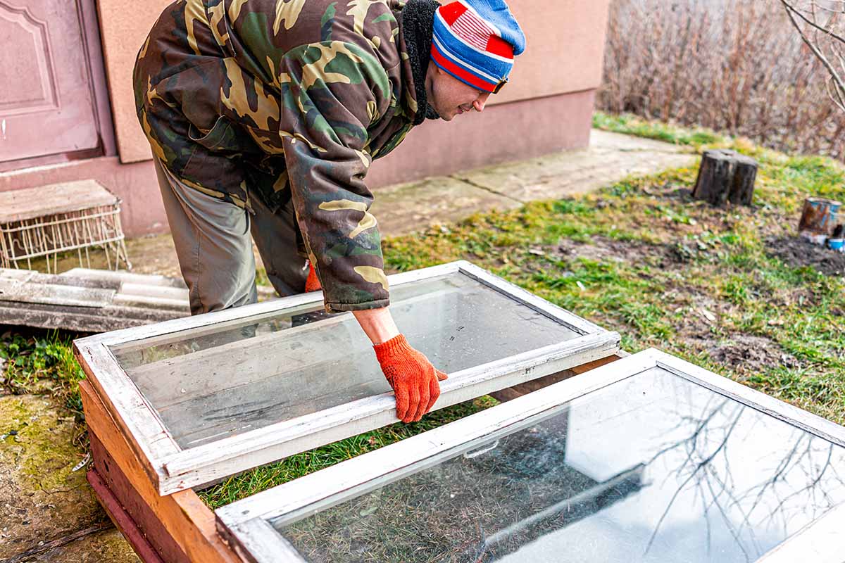 A close up horizontal image of a gardener building a cold frame out of some old windows.