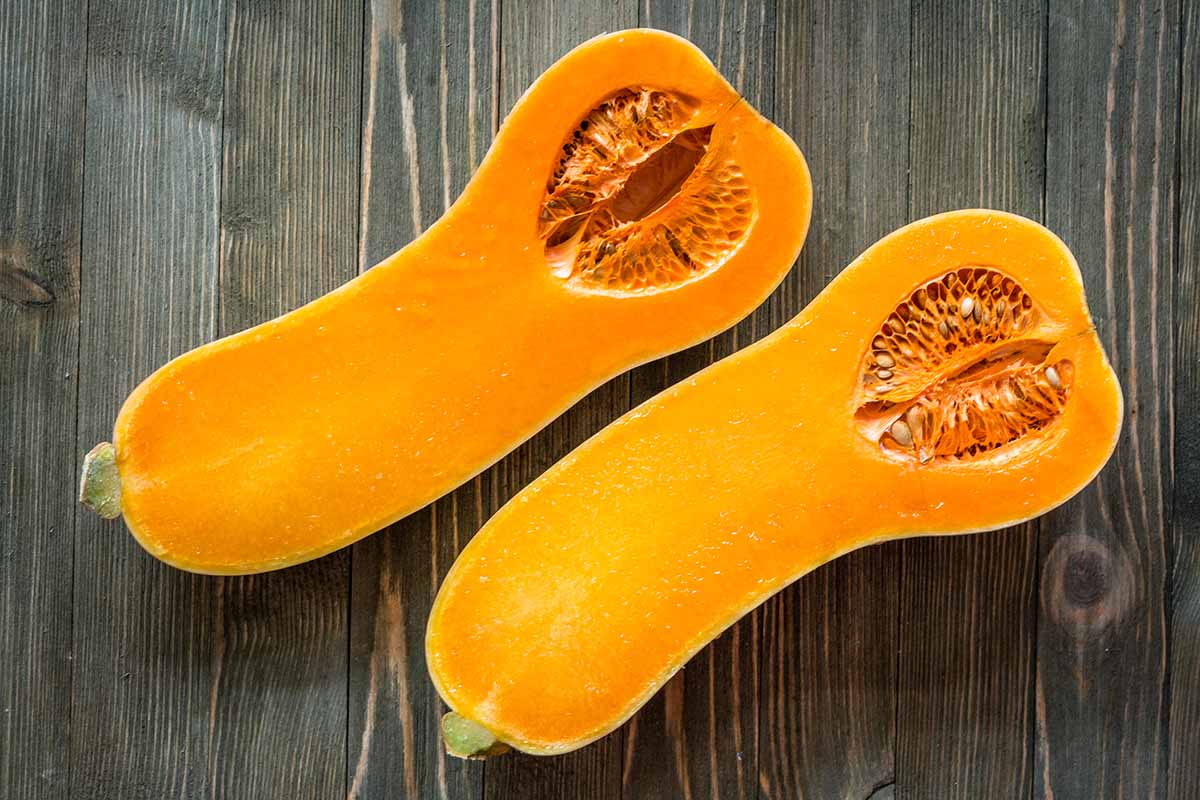 A close up horizontal image of two halves of a butternut squash set on a wooden surface.