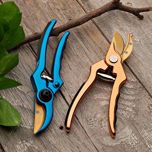 A close up square image of two pairs of bypass pruners set on a wooden surface.