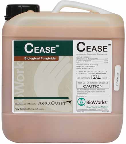 A close up of a jerry can of CEASE Biological Fungicide isolated on a white background.