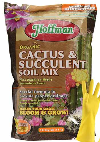 A close up of the packaging of Hoffman Cactus and Succulent Mix isolated on a white background.