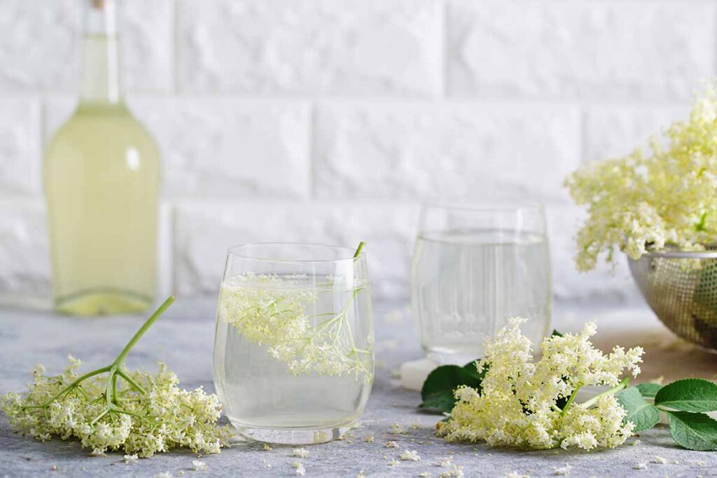 A close up horizontal image of elderflowers harvested.