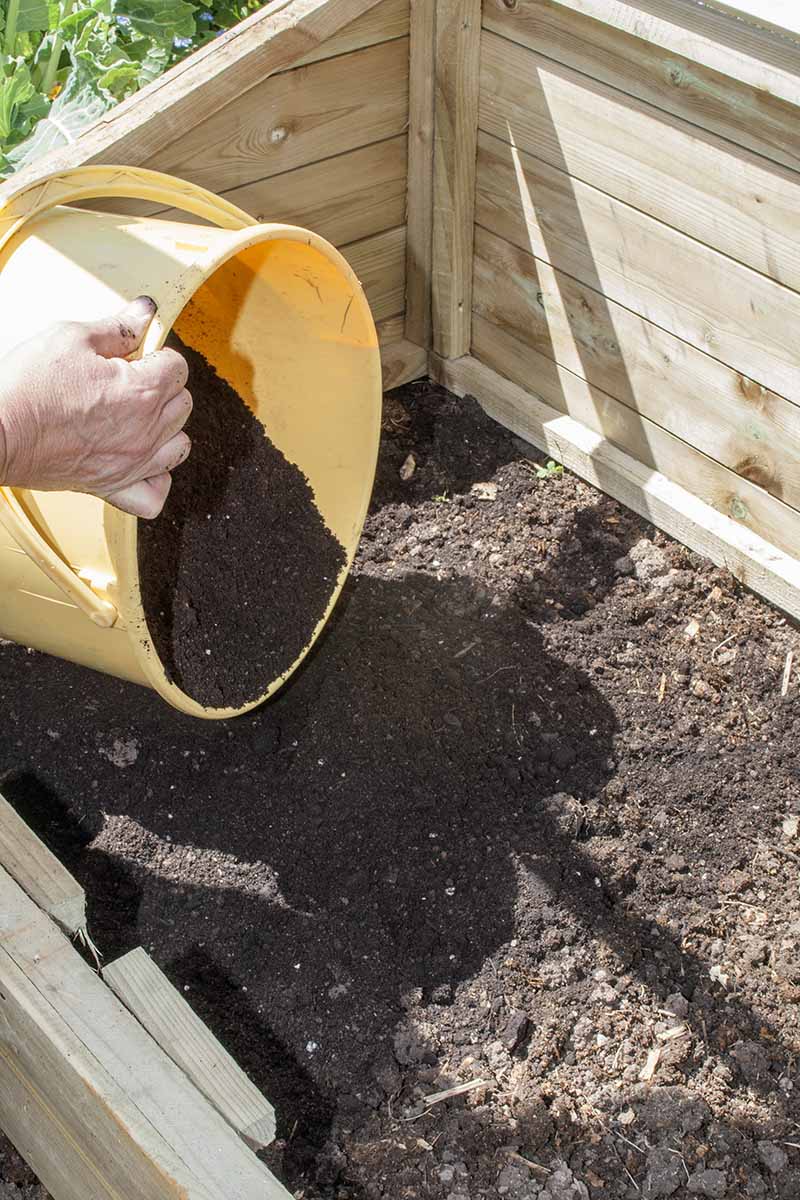 A close up vertical image of a hand from the left of the frame emptying soil into a wooden raised bed.