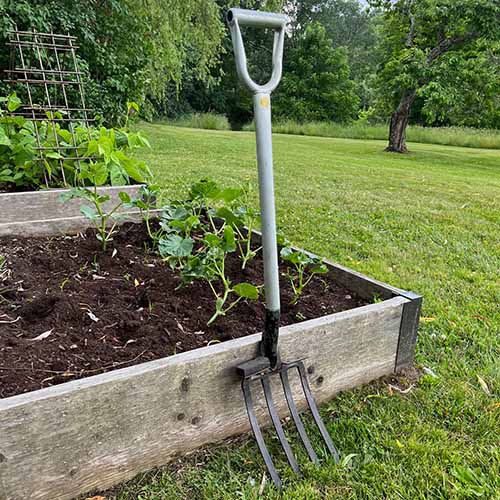 A square image of a garden fork set up against a wooden raised bed garden.