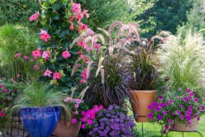 A horizontal image of a container garden scene with a colorful variety of different flowers and ornamental grasses.