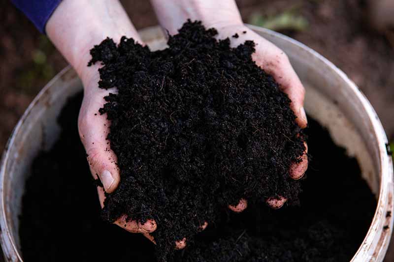 A close up horizontal image of hands scooping compost out of a plastic bucket.