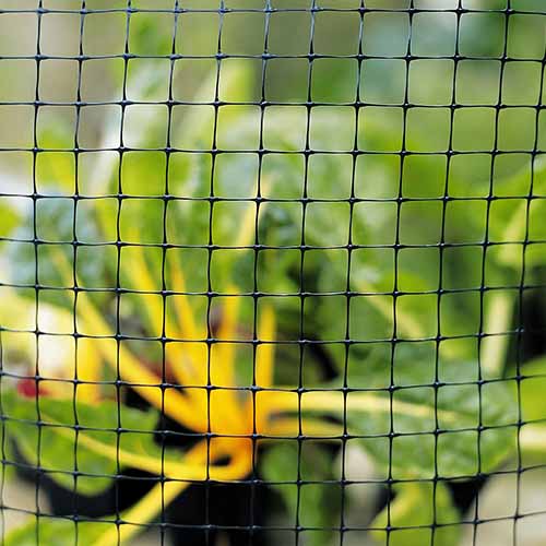 A square image of a deer fence around a vegetable garden.