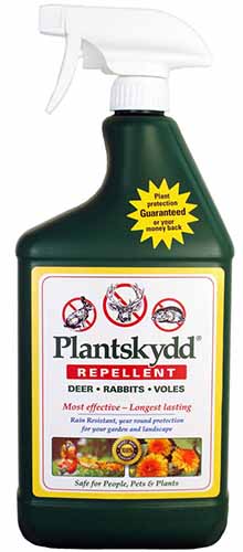 A bottle of Plantskydd Repellent isolated on a white background.