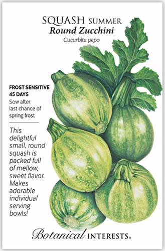 A close up vertical image of a seed packet of 'Round' zucchini with text to the left of the frame and a hand-drawn illustration to the right.