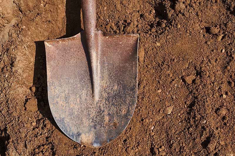 A close up horizontal image of a shovel set on the soil surface.