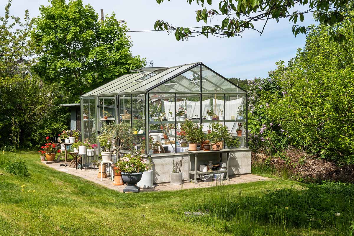 A horizontal image of a backyard greenhouse on a tiled slab surrounded by potted plants.
