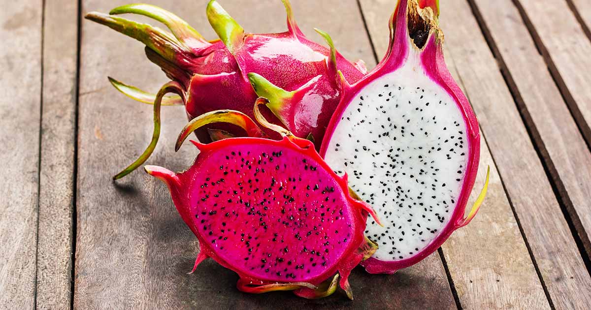 Dragon Fruit Dark Star Vine Plant Pitaya Hylocereus For Sale