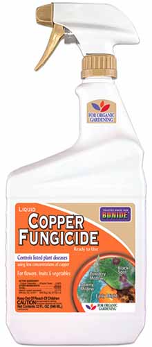 A close up of a spray bottle of Bonide Liquid Copper Fungicide isolated on a white background.