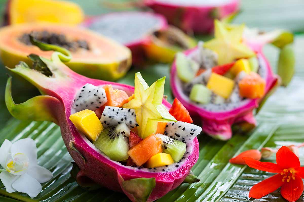 A close up horizontal image of dragon fruit peel being used as a decorative serving vessel for fresh fruit salads.