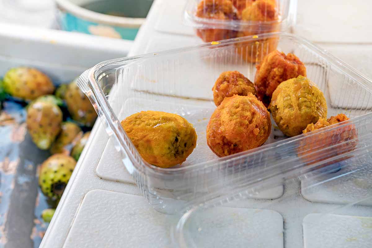 A close up horizontal image of deep fried opuntia fruits set on a white surface in a plastic container.