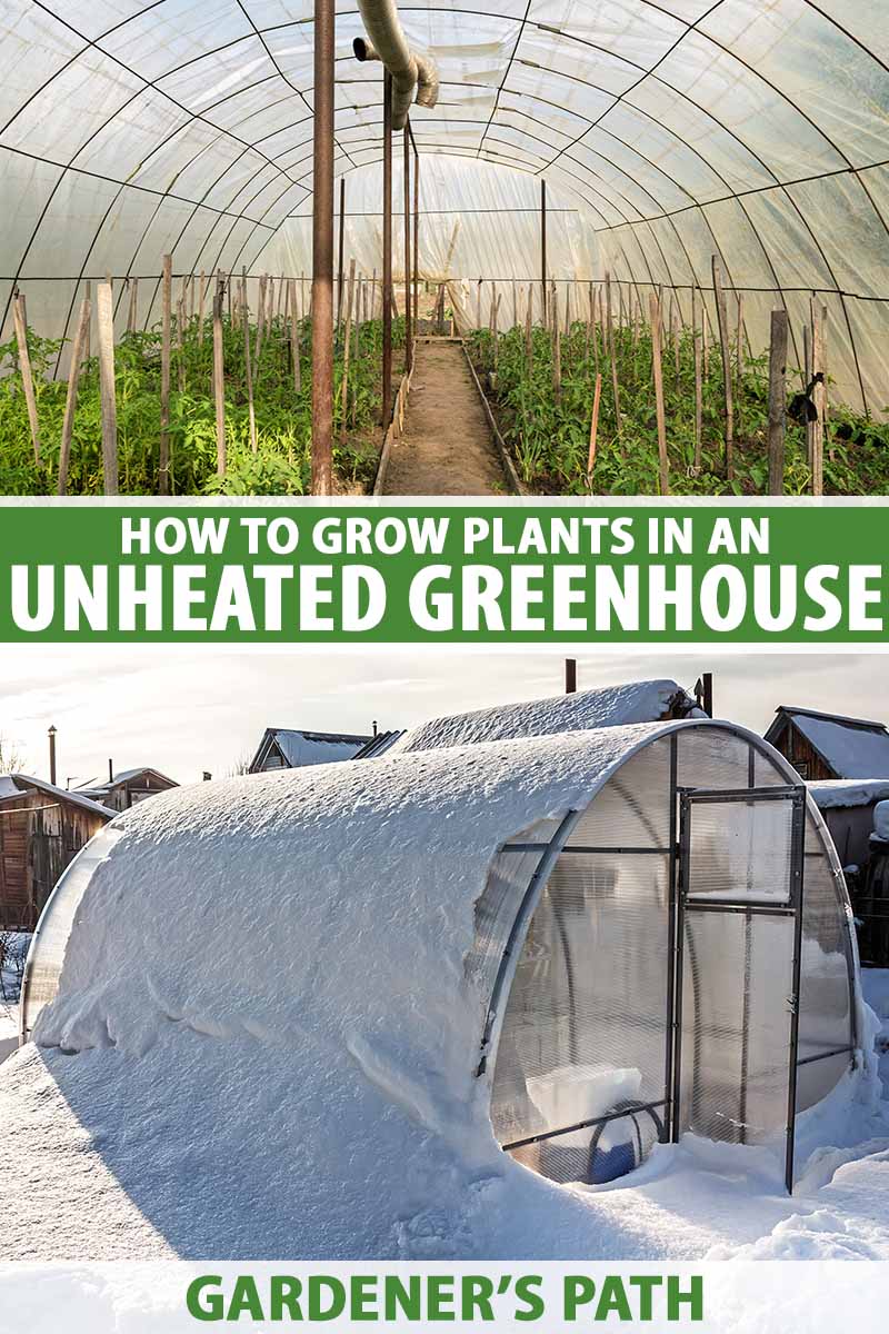A vertical collage of two images, the top being the inside of a greenhouse with plants growing in rows, the bottom being the outside of a hoop house in winter covered in snow. To the center and bottom of the frame is green and white printed text.