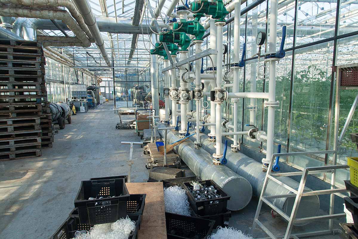 A horizontal image of a large pipe system for heating a commercial glasshouse.