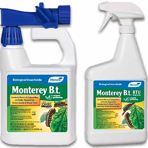 A close up square image of two bottles of Monterey Bt isolated on a white background.