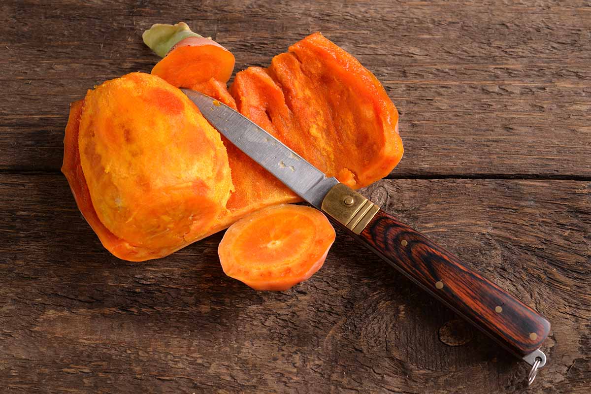 A close up horizontal image of a prickly pear set on a wooden surface sliced open with a knife and peeled.
