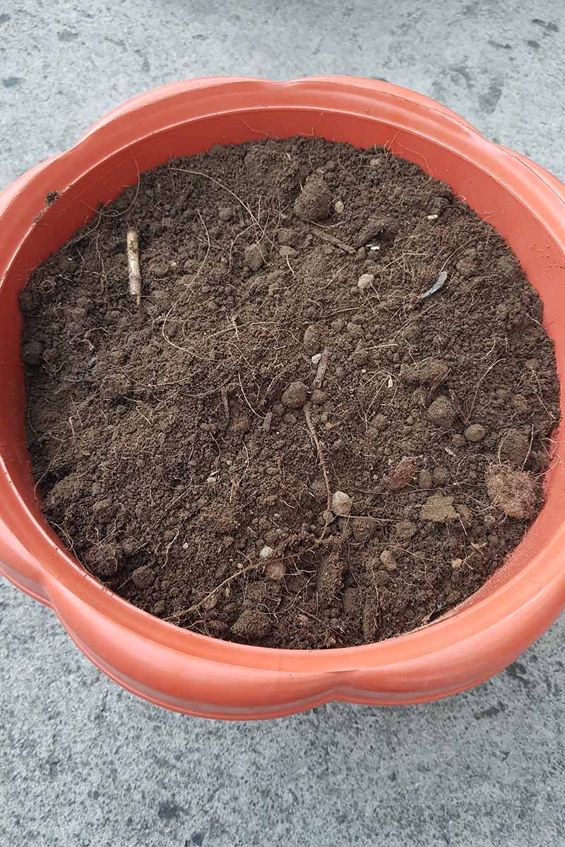 A close up vertical image of a pot filled with soil set on a concrete surface.