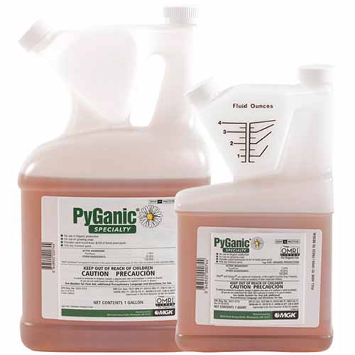 A close up of two bottles of PyGanic Specialty Insecticide isolated on a white background.